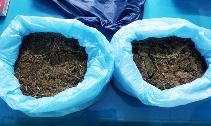 কাশিয়াডাঙ্গা থানার অভিযানে ২ কেজি গাঁজা উদ্ধার