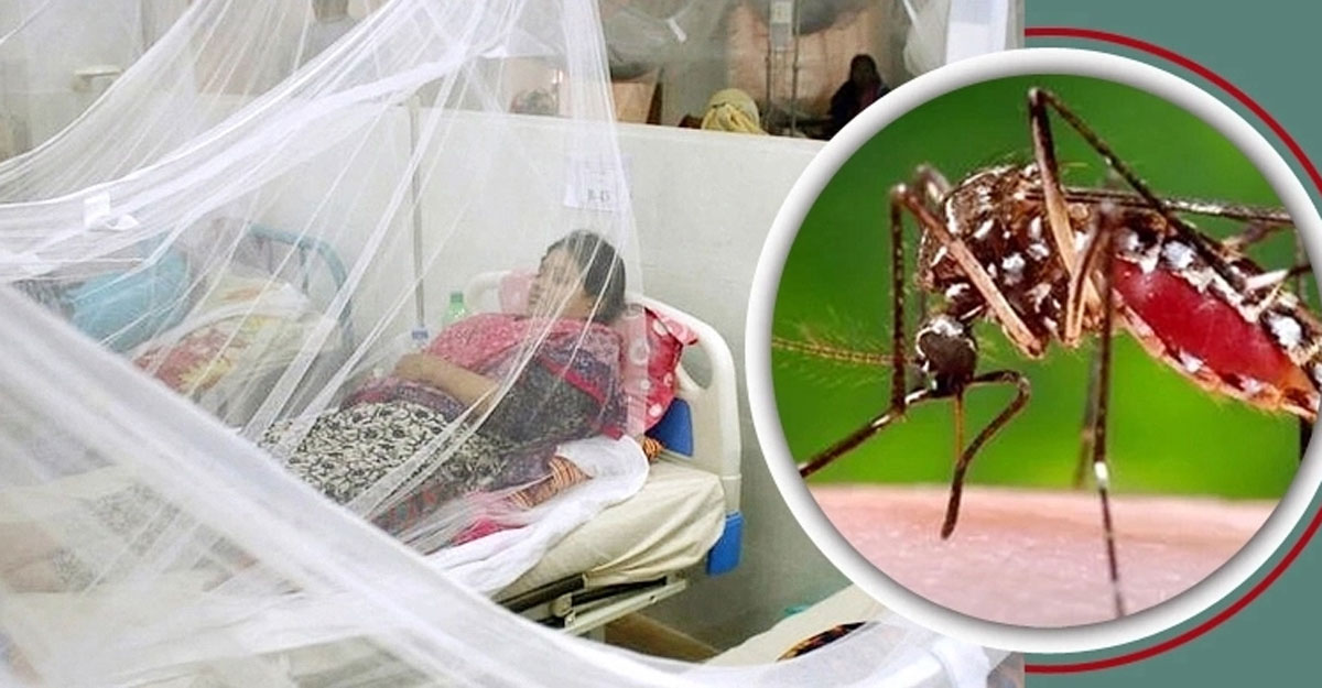 চট্টগ্রামে ডেঙ্গু আক্রান্তদের ৮৮ ভাগ ডেন-২ ধরনের 