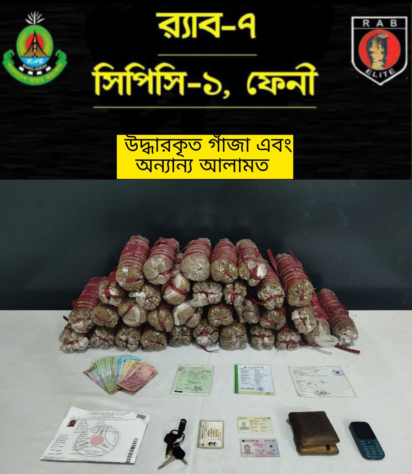 ফেনীতে র‍্যাবের মাদকবিরোধী অভিযানে ১৬ কেজি গাঁজাসহ গ্রেফতার ২ 