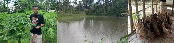 কুড়িগ্রামে  সমন্বিত খামারে লাভবান হওয়ার স্বপ্ন রাকিবুলের