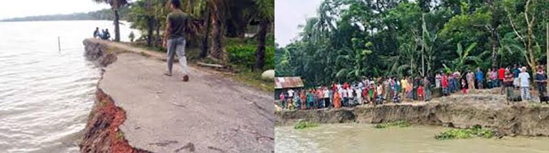 সুন্দরবনের উপকূলে ৫২ বছরেও স্থায়ী বেড়িবাঁধের স্বপ্ন পূরণ হয়নি, পানগুছি নদীর অব্যাহত ভাঙনে বিপন্ন মোরেলগঞ্জ