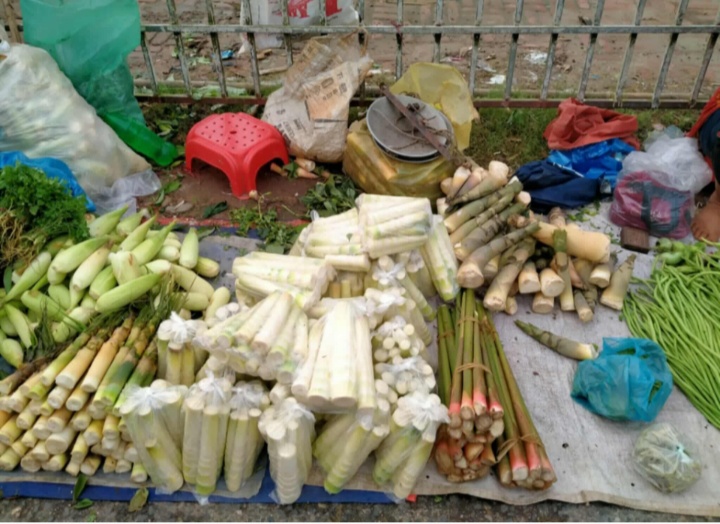 পাহাড়িদের জনপ্রিয় খাবার বাঁশকোড়লের স্মৃৃতিকথা