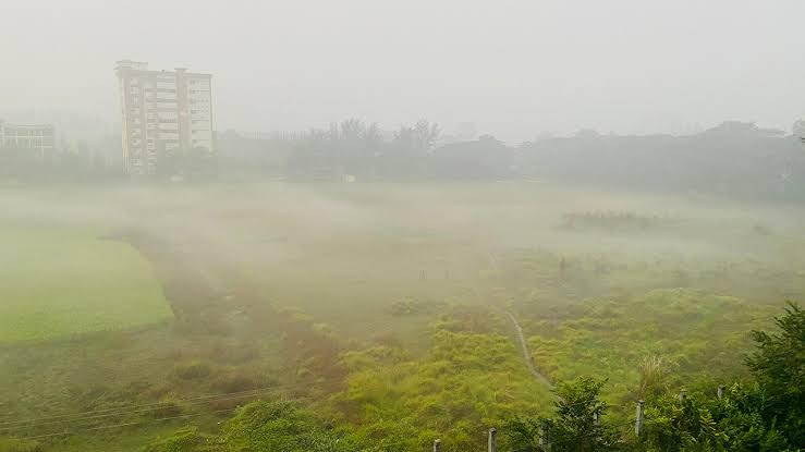 শীতে রূপ-লাবণ্যে ভরে উঠে নোবিপ্রবি ক্যাম্পাস