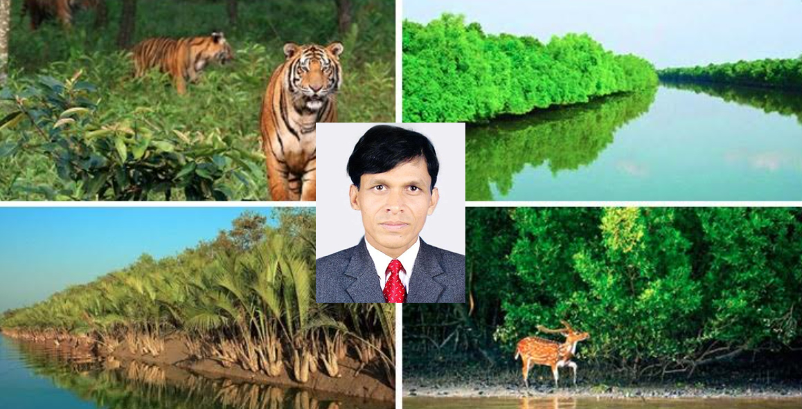 সুন্দরবন উপকূলের টেকসই বাঁধ: স্বাধীনতার ৫৪ বছরে টেকসই বাঁধ নেই — রক্ষায় এখন জরুরি টেকসই বেঁধিবাঁধ বাস্তবায়ন মানুষের সংগ্রামের গল্প নদী, বন আর মানুষের গল্প