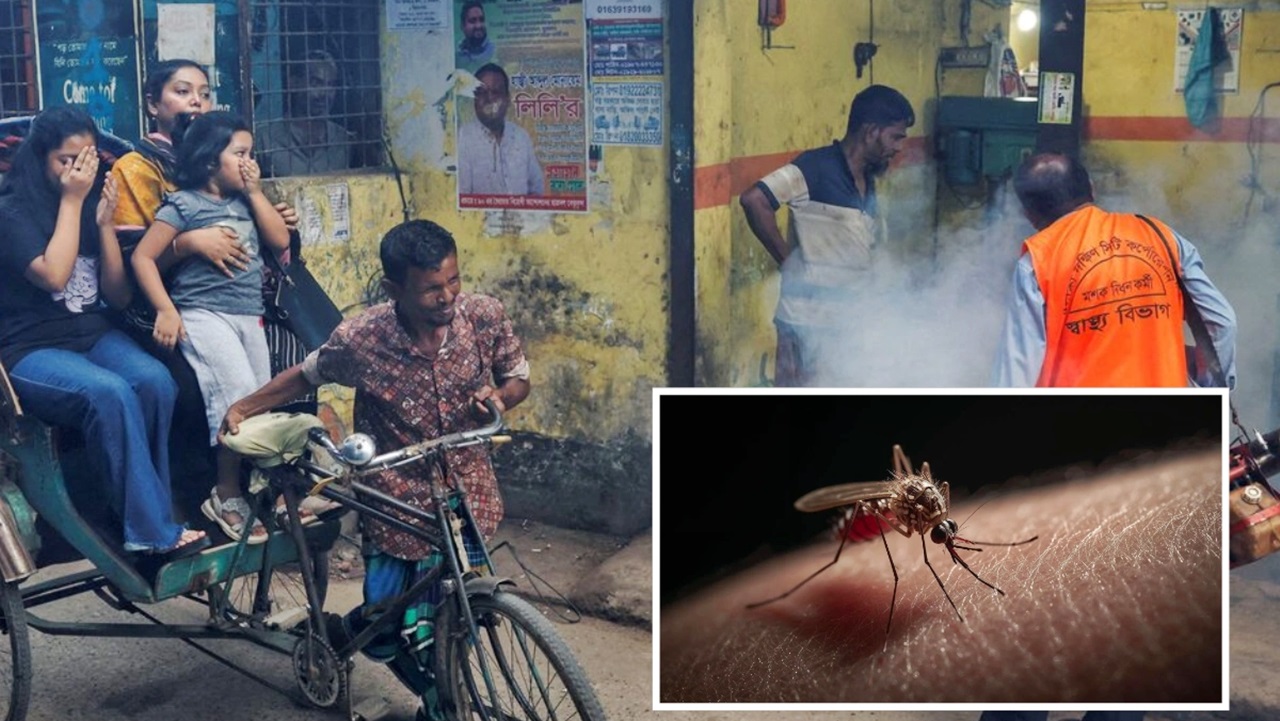 ডেঙ্গুতে একদিনে ৮ মৃত্যু, হাসপাতালে ৭৭৮