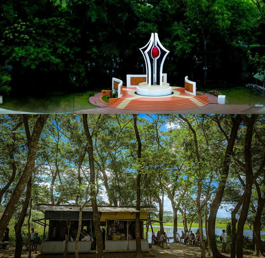 হাজারো স্বপ্নীল কুড়ির পরিচর্যায় ব্যস্ত ১০১ একরের এক উঠোন