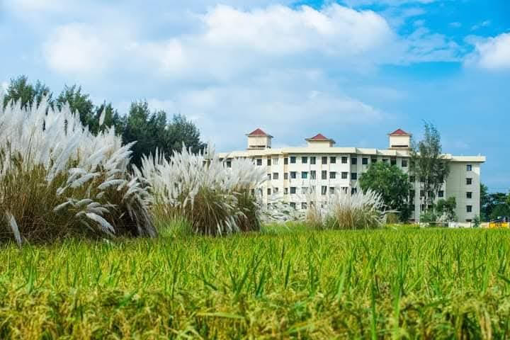 কাশফুলের রাজ্যে শরতের ছোঁয়া: নোবিপ্রবির অপার সৌন্দর্যের গল্প