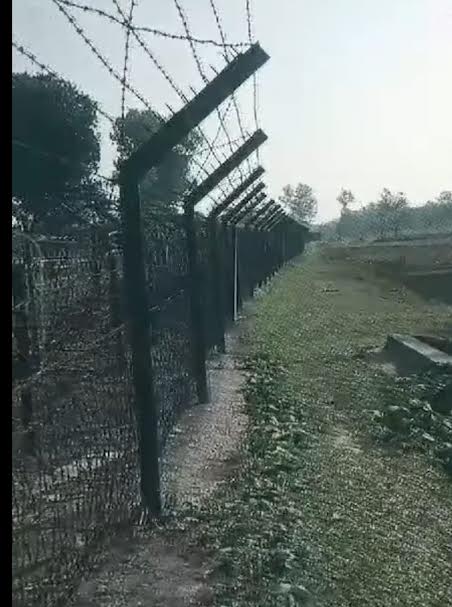 কুড়িগ্রামের রৌমারী সীমান্তে গুলির পর এক যুবককে ধরে নিয়ে গেছে বিএসএফ