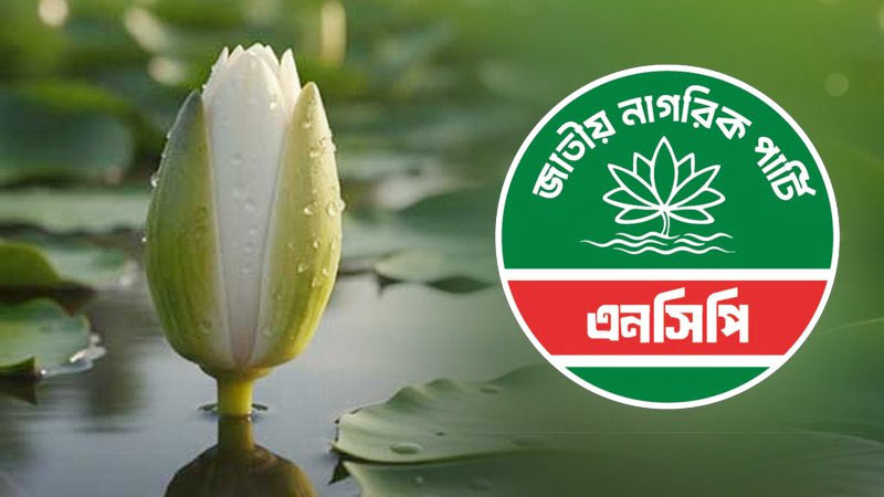 ২৭ আসনে প্রার্থী ঘোষণা এনসিপির, কোন আসনে কে লড়বেন