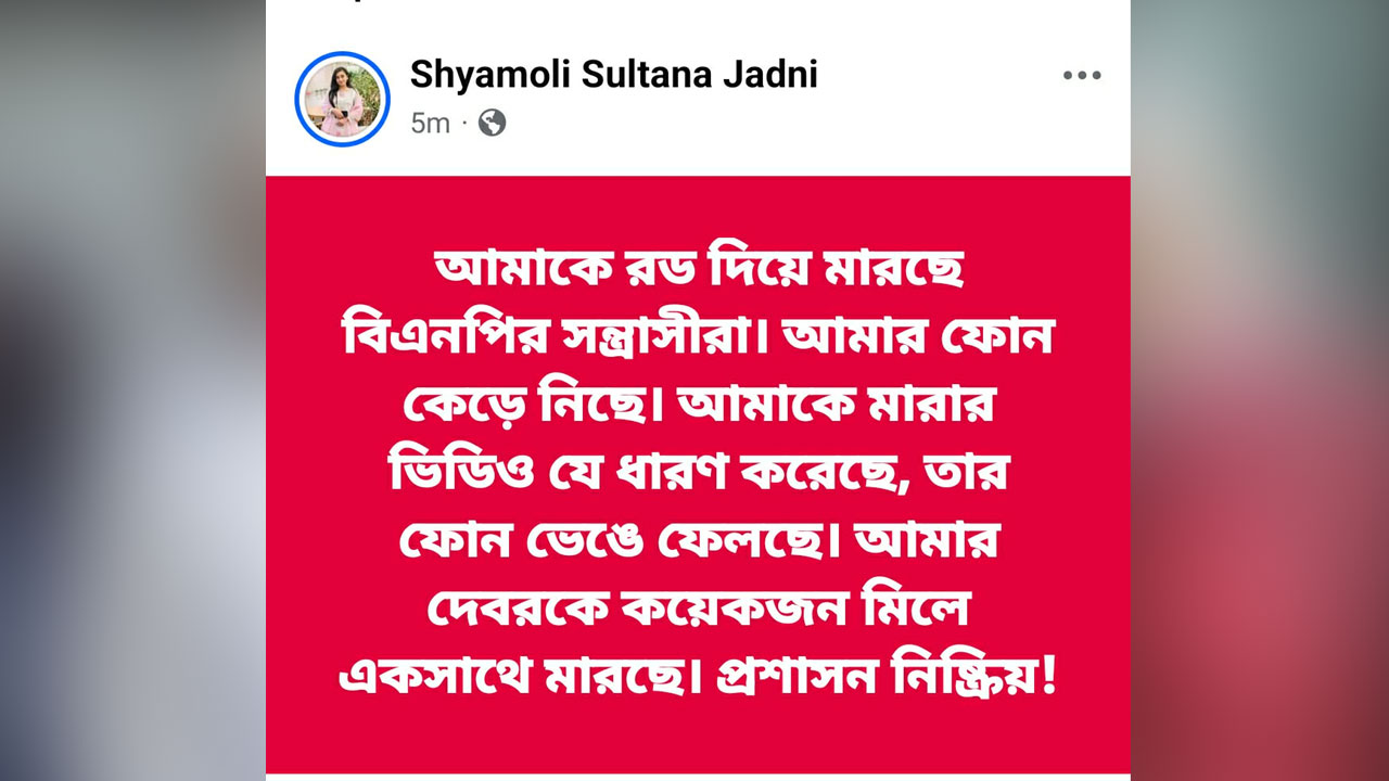 হান্নান মাসউদের স্ত্রী-ভাইয়ের ওপর হামলার অভিযোগ