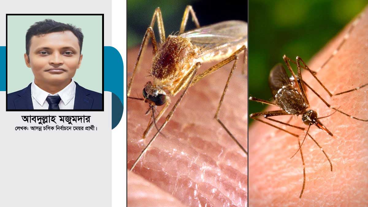 মশার দখলে বন্দরনগরী চট্টগ্রাম, জবাবদিহি কোথায়?