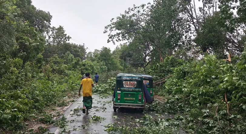 কালবৈশাখি ঝড়ে গাছ পড়ে ঢাকা-চট্টগ্রাম সড়ক যোগাযোগ বন্ধ