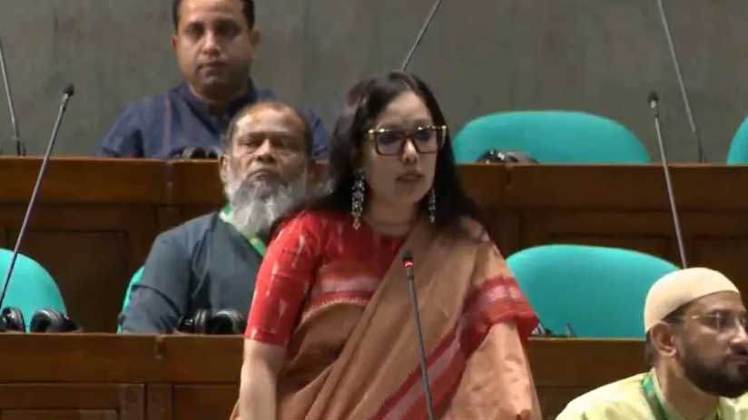মবের শহরে পরিণত হয়েছে দেশ, বিচারহীনতায় বাড়ছে গণপিটুনি : রুমিন ফারহানা