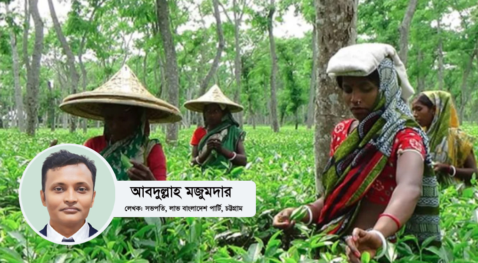 চা শিল্পের অর্থনৈতিক বাস্তবতা