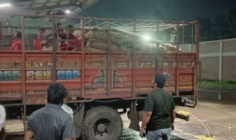 বেনাপোল বন্দরে কাগজপত্রবিহীন পণ্যবাহী ভারতীয় ট্রাক জব্দ
