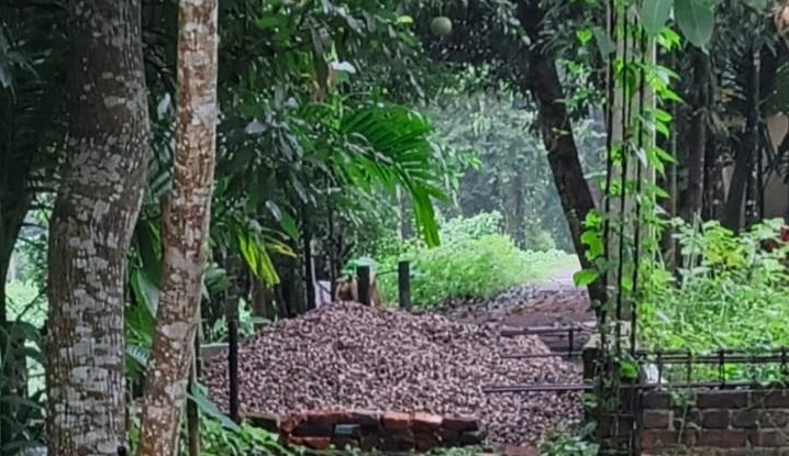 বিশ্বনাথের পল্লীতে বালু ও পাথর দিয়ে সরকারি রাস্তা বন্ধ করে দেওয়ার অভিযোগ মসজিদ ও স্কুলে যেতে বিঘ্ন ঘটছে এলাকাবাসীর