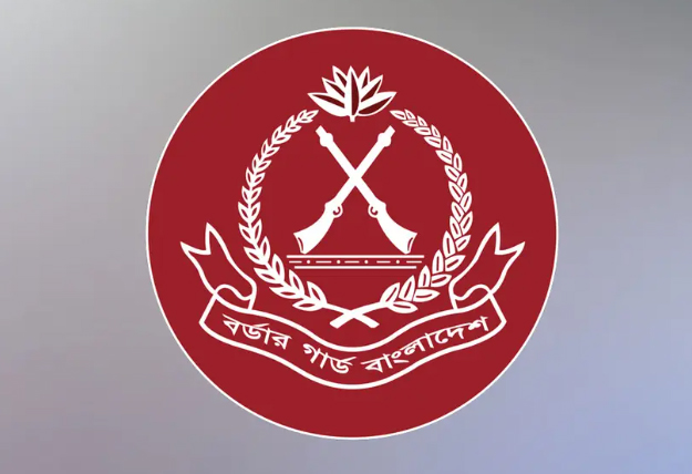 ১৭৭ কোটি টাকার চোরাচালান পণ্য জব্দ : মে মাসে অবৈধ অনুপ্রবেশের দায়ে ৩৯৮ বিদেশিসহ সীমান্তে আটক ৪৯০
