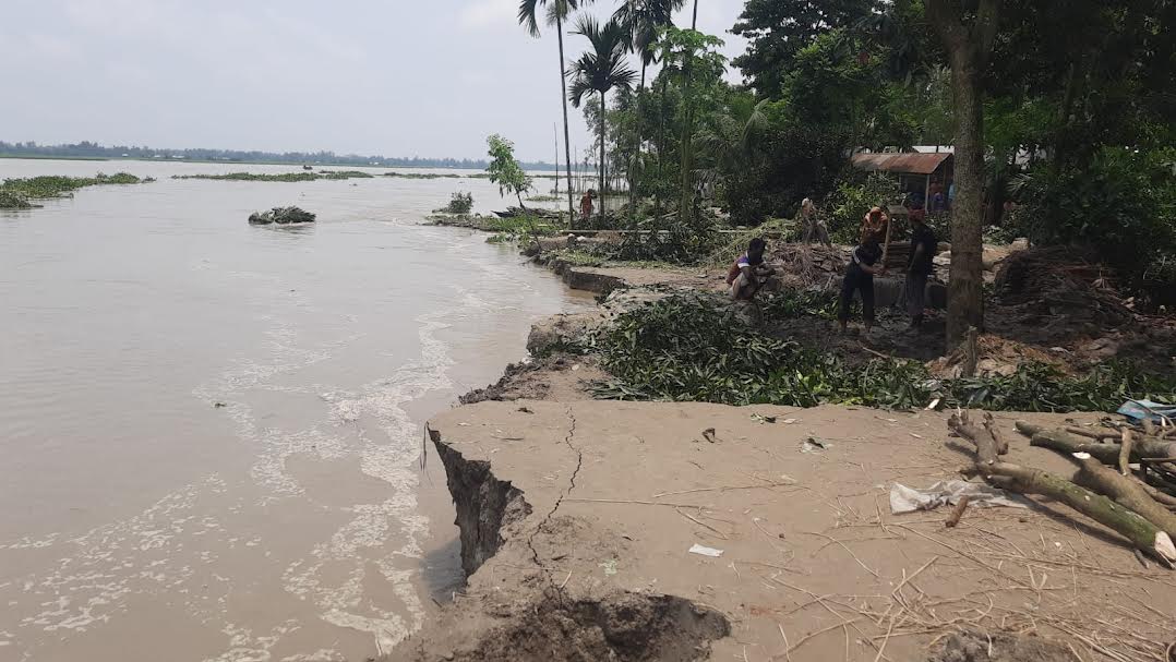বন্যার পানি কমতেই কুড়িগ্রামে ভাঙনের থাবা, বিলীন বসতভিটা-ফসলি জমি