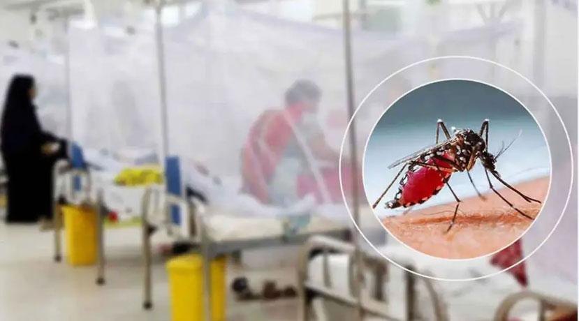 ডেঙ্গুতে আরও ৬ জনের মৃত্যু, হাসপাতালে ১৬০৮