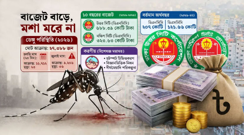 কোটি কোটি টাকা খরচেও অপরাজিত মশা, ডেঙ্গু ভয়ে নগরবাসী