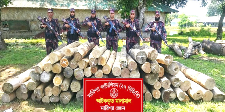 বাঘাইছড়িতে বিজিবির অভিযানে অবৈধ কাঠ জব্দ 