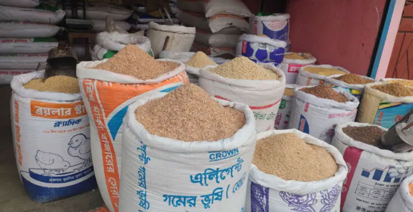 দাম বেড়েছে সব ধরনের ফিডের, চাপে খামারিরা