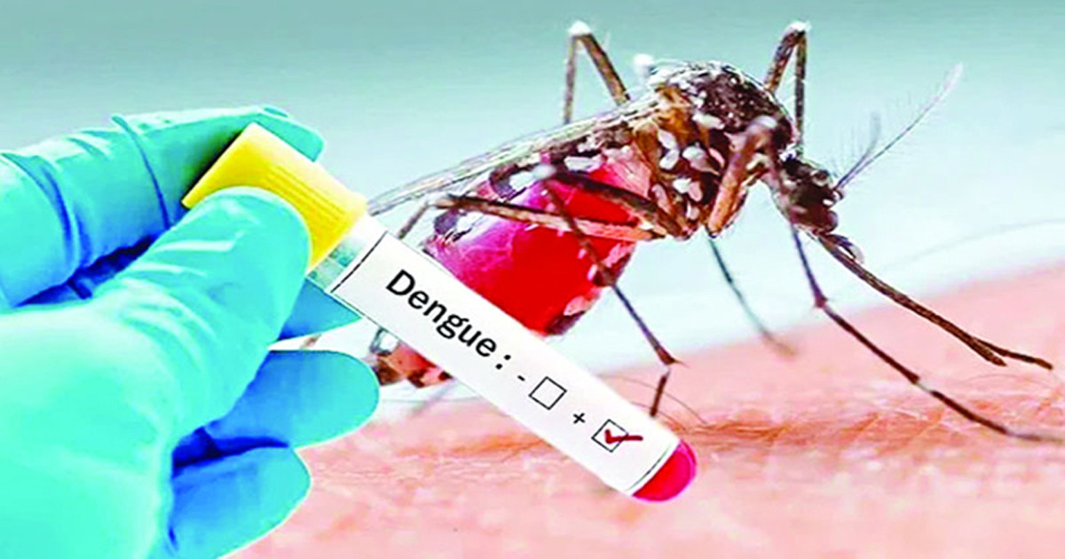 আজও ডেঙ্গুতে ১০ জনের মৃত্যু, আক্রান্ত ১৯৯৬