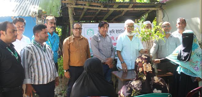 ৪৫০ পরিবারে মমতার মেহগনি গাছের চারা বিতরণ