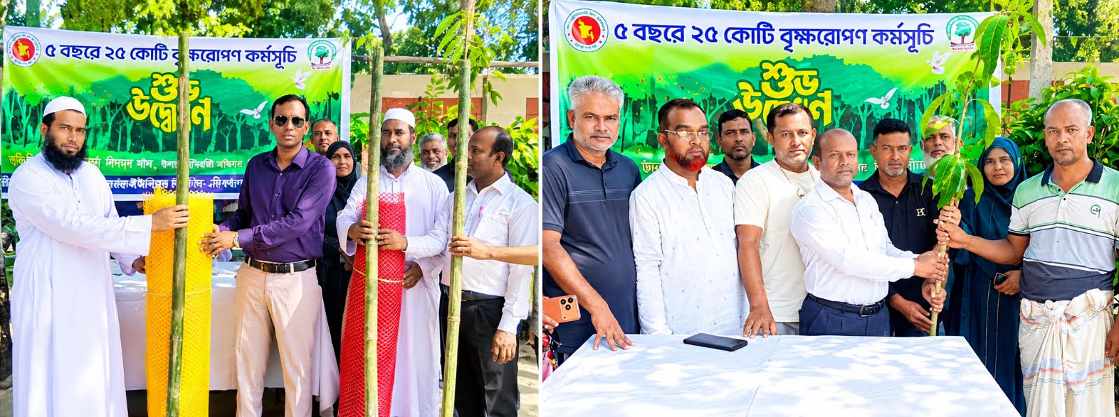 খোকশাবাড়ী ইউনিয়ন পরিষদের অর্থায়নে বিভিন্ন শিক্ষা প্রতিষ্ঠানে ৫ শতাধিক বৃক্ষ রোপণ